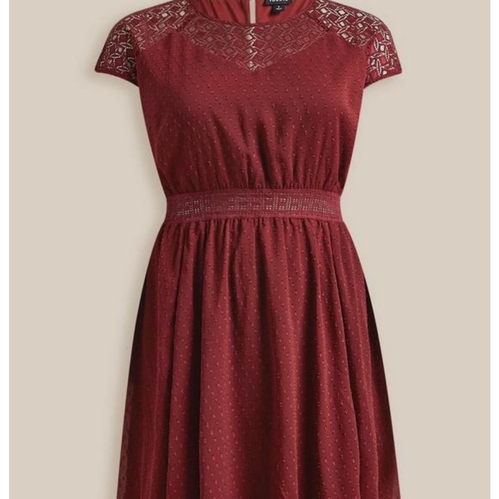 Mini Clip Dot Crochet Lace Skater Dress